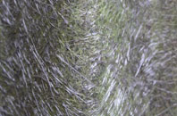 St Keyne fibreglass roof work